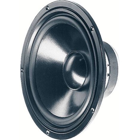 Haut-parleur 10 Visaton W 250 S - 8 Ohm N/A (1/2)