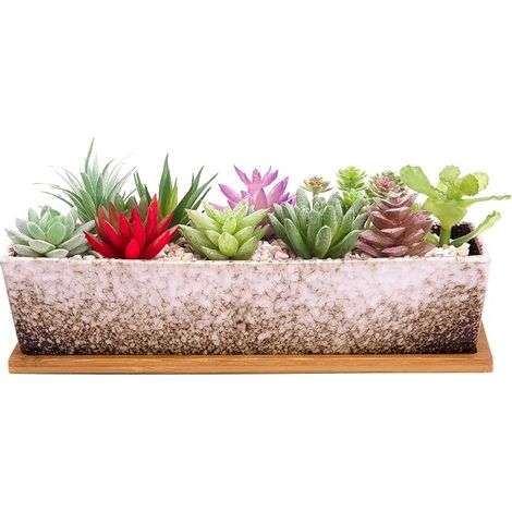 Succulent Flower Pots 12 Inches Long Rectangle with Drainage Tray, Large Ceramic Cactus Flower Pots for Indoor/Outdoor Bonsai, Home Decor, White (1/5)