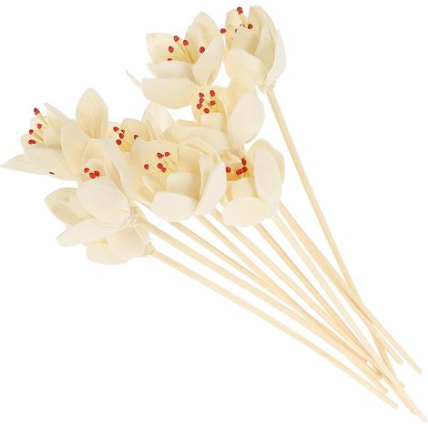 Bâtonnets Diffuseur Parfum en Rotin Naturel 8.7 Pouces Orchidées Séchées pour Diffuseur d'Arômes Décoration Intérieure et Bureau Lot de 10 (1/5)