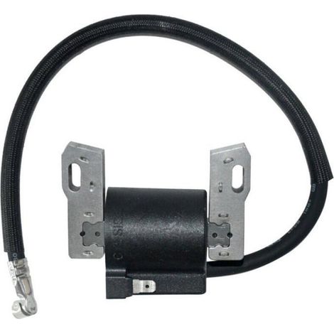 Bobine Dallumage - Pour Moteurs Briggs Stratton 591420 398593 496914 793281 792395 - Compatible Tondeuses À Gazon Et Machines De Jardinage - 1 Pièce (1/4)