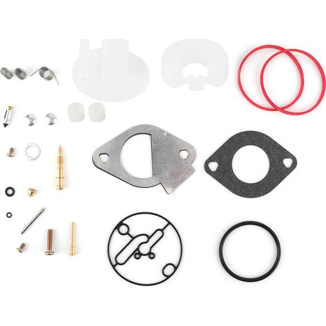 Vergaser-Reparatursatz für Briggs & Stratton 796184, 796081, 790727 – Generalüberholung Nikki