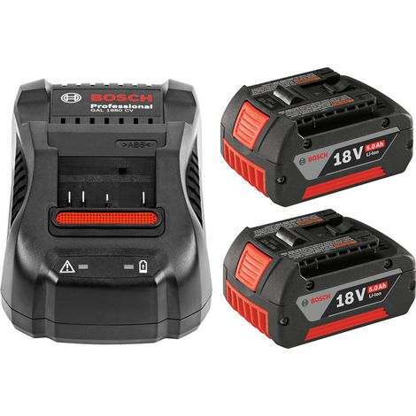 BOSCH 2 x GBA 18V 5.0AH + GAL 1880 18v Charger & battery pack (1/4)