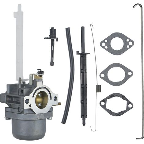 BP25 796122 Carburetor 794593 793161 696737 Snowplow 20A114 20A414--DTEKGAZ