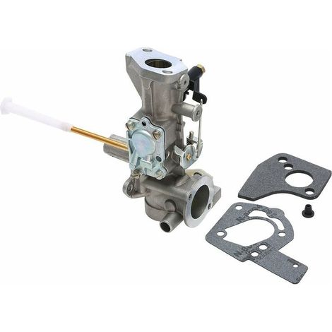 Carburateur pour Briggs & Stratton 498298 495426 692784 495951 W (1/5)