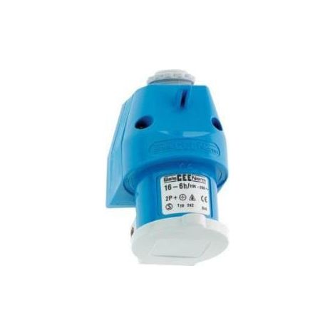 Fiche BALS B000242