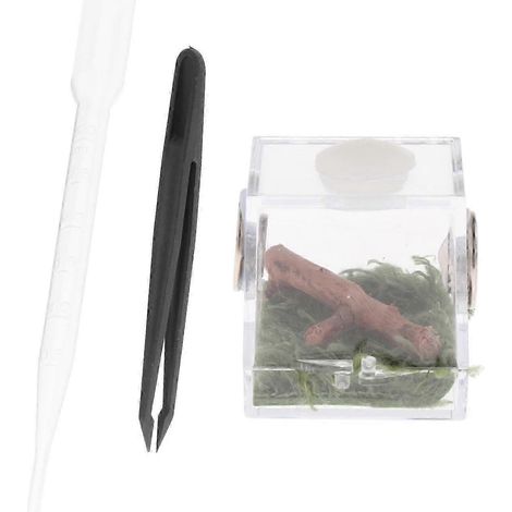 Boîte d'élevage pour reptiles - Nombreuses applications - Boîte à insectes pour animaux de compagnie-S