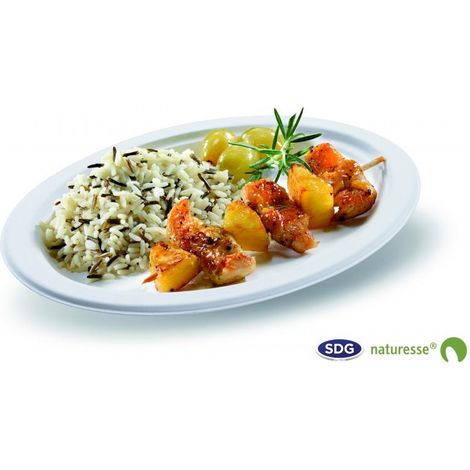 Assiette jetable ovale 26x19 cm en cellulose - 500 pièces - Ecobioshopping (1/3)