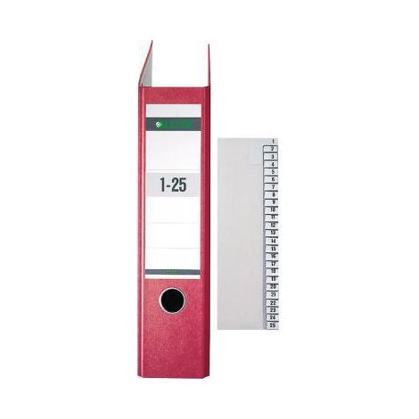 Zahlenregister DIN A4 Überbreite 100g/m² 1-25 Tauenpapier grau (1/5)
