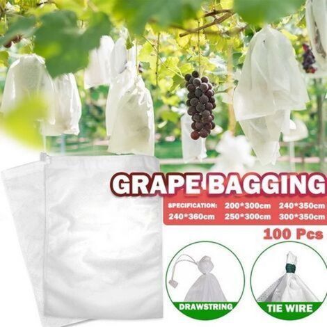 100 Sachets de Protection pour Fruits Sachets en Filet Protection Raisin contre Oiseaux et Insectes Guêpes Frelons 30 x 20 cm (1/4)