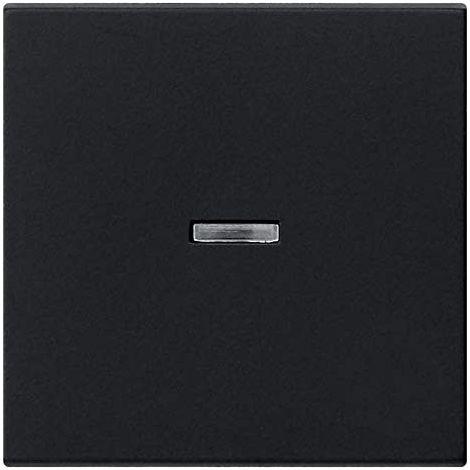 GIRA 0290005 FENÊTRE DE CONTRÔLE