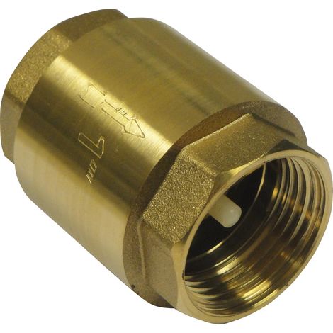 Clapet de non-retour 1 - Master Pumps