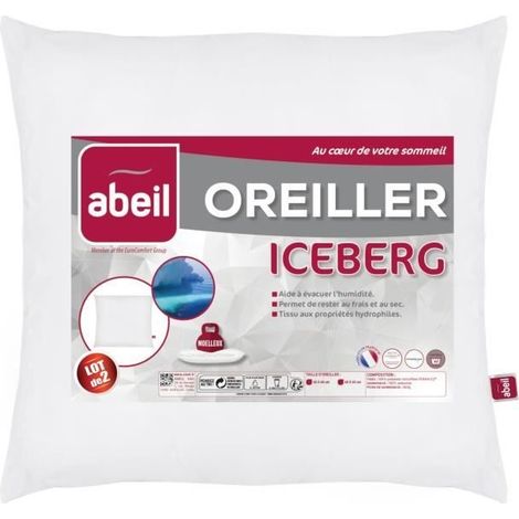 ABEIL Lot de 2 Oreillers moelleux ICEBERG 60x60cm (1/2)
