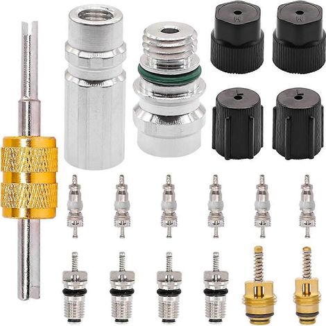 Kit de 19 obus de valve de climatisation automobile R12/R134a avec bouchons de joint pour port de charge. (1/4)