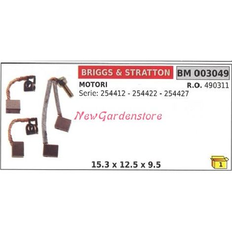 briggs&stratton Bürstensatz für Elektromotor 254412 Serie 254422 003049