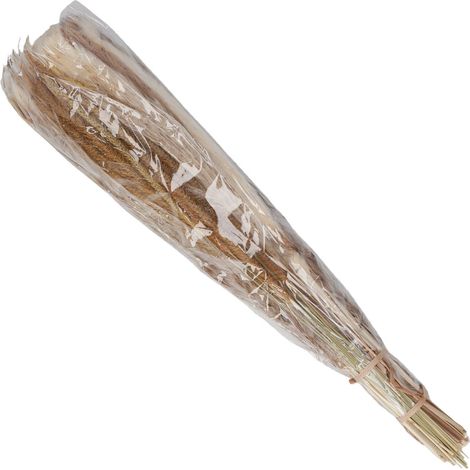 Bouquet de fleurs séchées artificielles en herbe de la pampa, idéal pour décorer un vase ou un sol (type 1). (1/5)