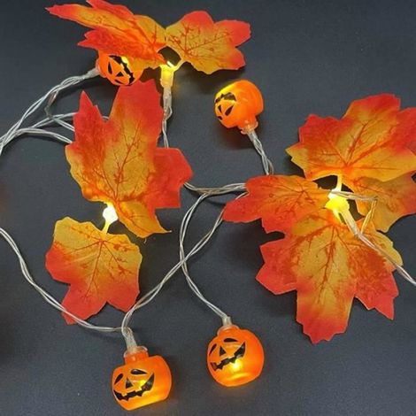 Guirlande lumineuse - - 6m - 40 LED - USB rechargeable - Décoration Halloween (1/4)