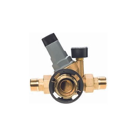 BWT Module de raccordement DR 1" -100mm LF - Raccord de réducteur de pression, HACCP, 125596765