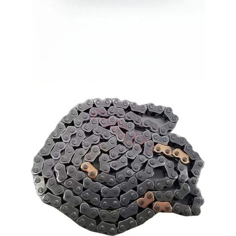 2432103170 est une chaîne de distribution pour les moteurs Hyundai i10, i20, Elantra et Kia Rio. (1/4)