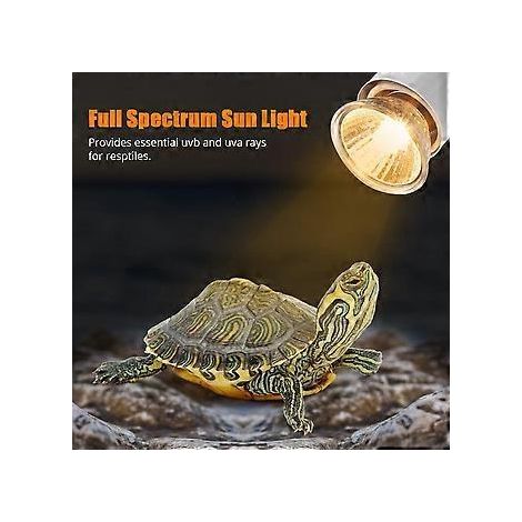 Lampe chauffante monobloc à isolation renforcée pour poussins et porcelets (lampe chauffante en chanvre blanc 250W) (1/4)