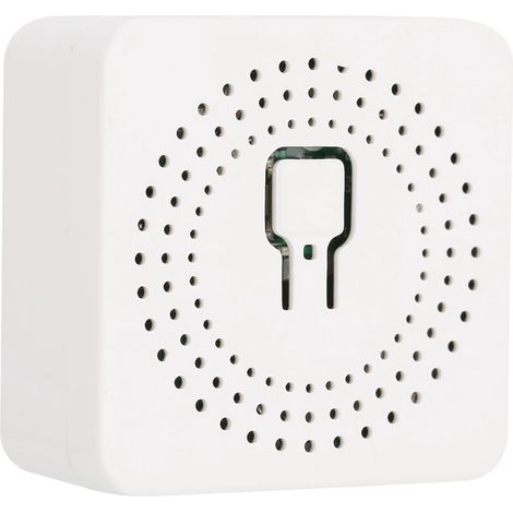 Interrupteur WiFi 16A Mini Module Intelligent Commande Double à Distance 100-240V