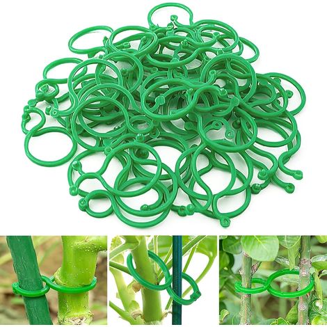 Kit de 500 tuteurs et treillis pour plantes grimpantes – pour tomates, plantes grimpantes, potagers (aide au greffage et à la croissance) (1/5)