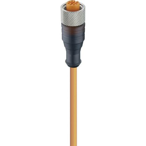 Connecteur confectionné pour capteurs/actionneurs M12 Lumberg Automation RKT 4-07/2 M 11348-1 femell (1/2)