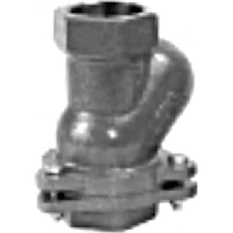GRUNDFOS Accessoires pour pompe à eaux chargées/usées Clapet anti-retour à bille Rp2 GG, 96002002