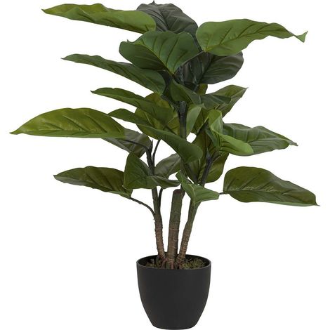 Aureum Pflanze mit Topf 65X65X88 Cm (1/5)