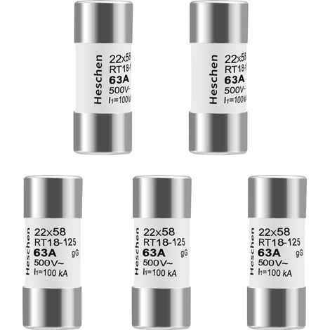 Tube cylindrique en céramique fusible Lien, RT18-125(RO17), 22  58mm, 63A 500VAC, Type gG, paquet de 5