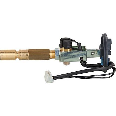 Rechauffeur Riello 3007657