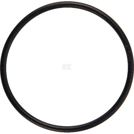 O-Ring JCB 02200087