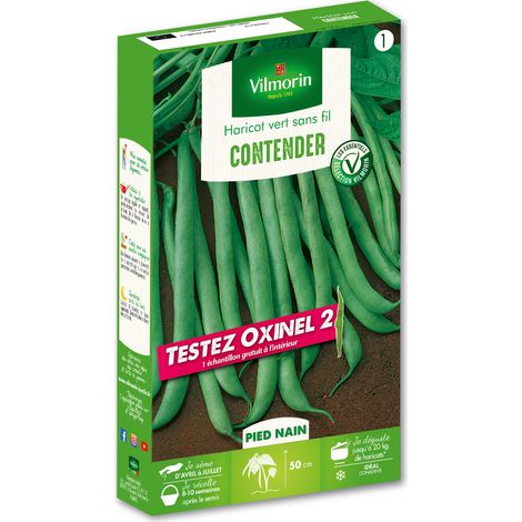 Haricot Nain Vert Contender + échantillon Oxinel 2 Vilmorin