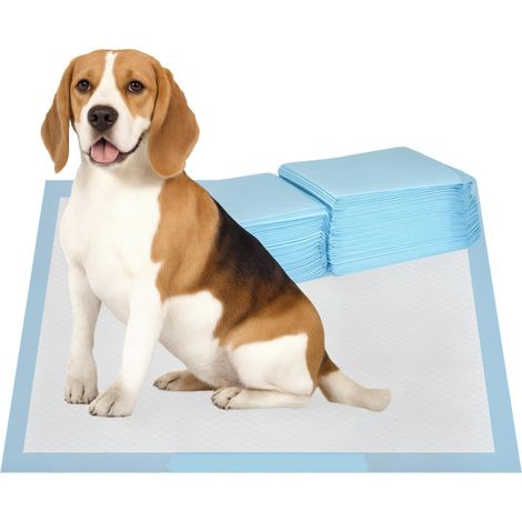Lot de 80 tapis de propreté pour chien 6 couches (non tissé, papier et PE), 60 x 60 cm, bleu et blanc