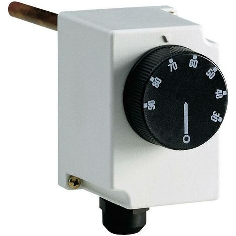 Thermostat industriel mécanique Perry Electric 1TCTB065 30 à 90 °C S87189 (1/5)