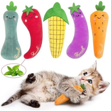 QORVA-Lot de 5 jouets à base d'herbe à chat pour l'intérieur