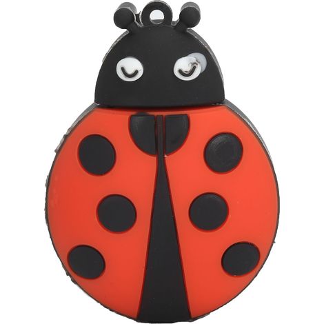 Clé USB Mignonne Coccinelle 64GB - Stockage, Transfert et Partage de Données (1/5)