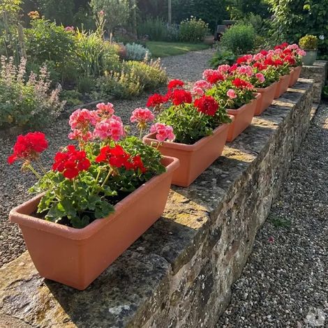 Lot de 8 Balconnières Elho® 50x16cm en plastique effet terre cuite