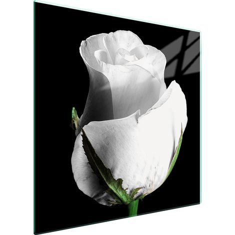 PLACA PROTECTORA DE VIDRIO PARA ESTUFA 50x52 ROSA (1/5)