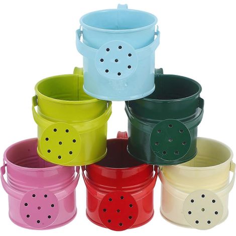 Lot de 6 arrosoirs créatifs, simples et résistants, en fer. (1/5)