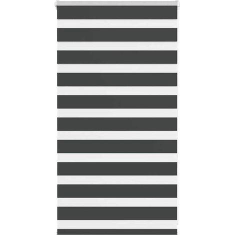 4014205 Store zèbre noir 80x100 cm largeur du tissu 75,9 cm polyester (1/5)