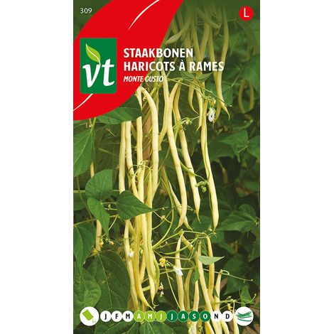 Haricots à Rames Monte Gusto - Ca. 25 gr (Livraison Gratuite)