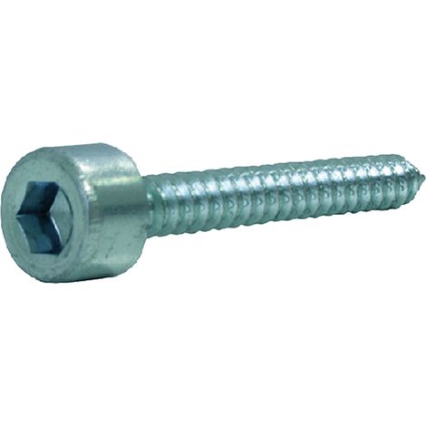 VITE AUTOFILETTANTE TCEI TCEI mm 4,8 x  32 - 5 centinaio - AMBROVIT