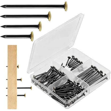 Clous Pointe Acier Set, 20/25/30/40 mm Clous Acier, Clous Tableaux, Clous Suspension Briques Plâtre Bois (1/5)