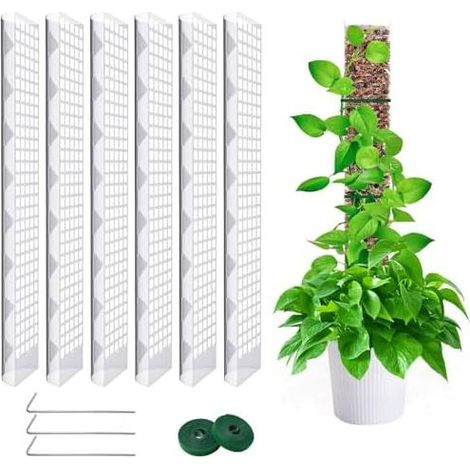 6 Stück 60 cm lange Sphagnummoos-Pflanzenstützen, Monstera-Pflanzenstützen, Moosstäbe für Haus, Garten und Kletterpflanzen – 60 cm (1/5)