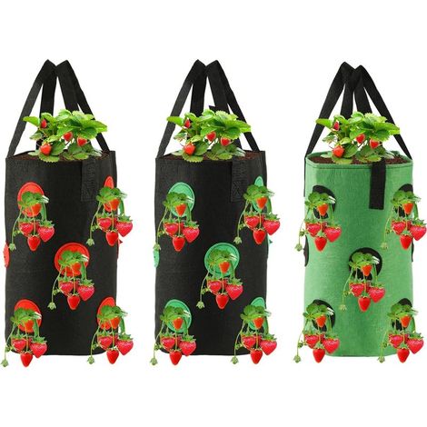 SHINING HOUSEPaquet de 3 sacs à plantes muraux, sacs à plantes suspendus cylindriques, jardinières murales de jardin verticales durables, adaptées à la plantation suspendue intérieure et extérieure, 2 (1/5)