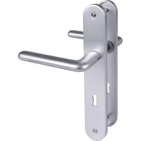 Poignée de porte intérieure - New camelia sup - Eurowale - Gris argent - Clé L - 195 mm (1/2)