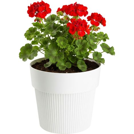 SILVA LINE Recycling-Blumentopf, cremefarben, H 17,4 x 20 cm
