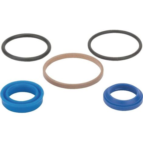 Reparaturset für Lenkzylinder GOPART 9966100N