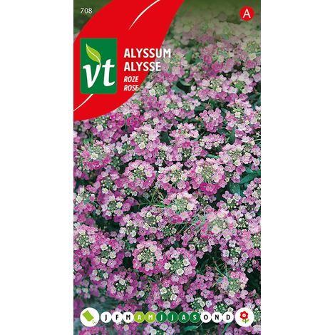 Alysse Rosie O'Day - Ca. 0,5 gr (Livraison Gratuite) (1/2)