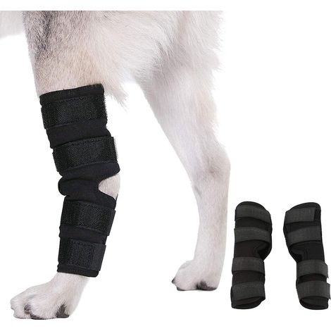 Paire de Genouillères pour Chien, Attelle Patte Avant, Protection Articulation Chien, Bandeau Rotule pour Chien, Bracelet de Compression Patte Arrière (1/5)
